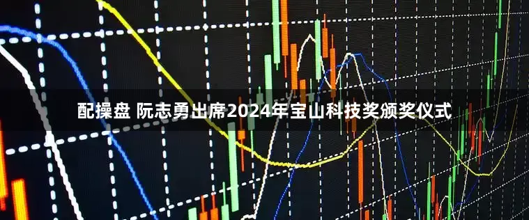 配操盘 阮志勇出席2024年宝山科技奖颁奖仪式
