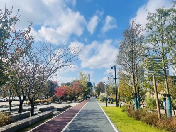 牛盈服务中心 尝到甜头后，保利95轮血拼夺杨浦地王